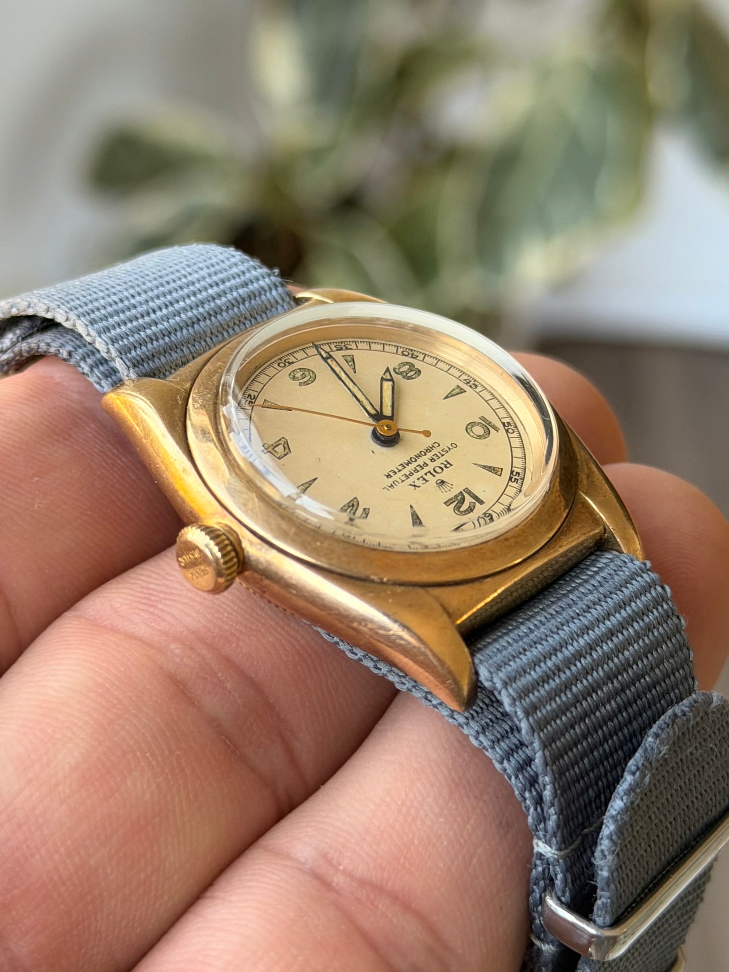 Rolex “Bubbleback” 3131 Arabic Dagger Dial | 14K Gold