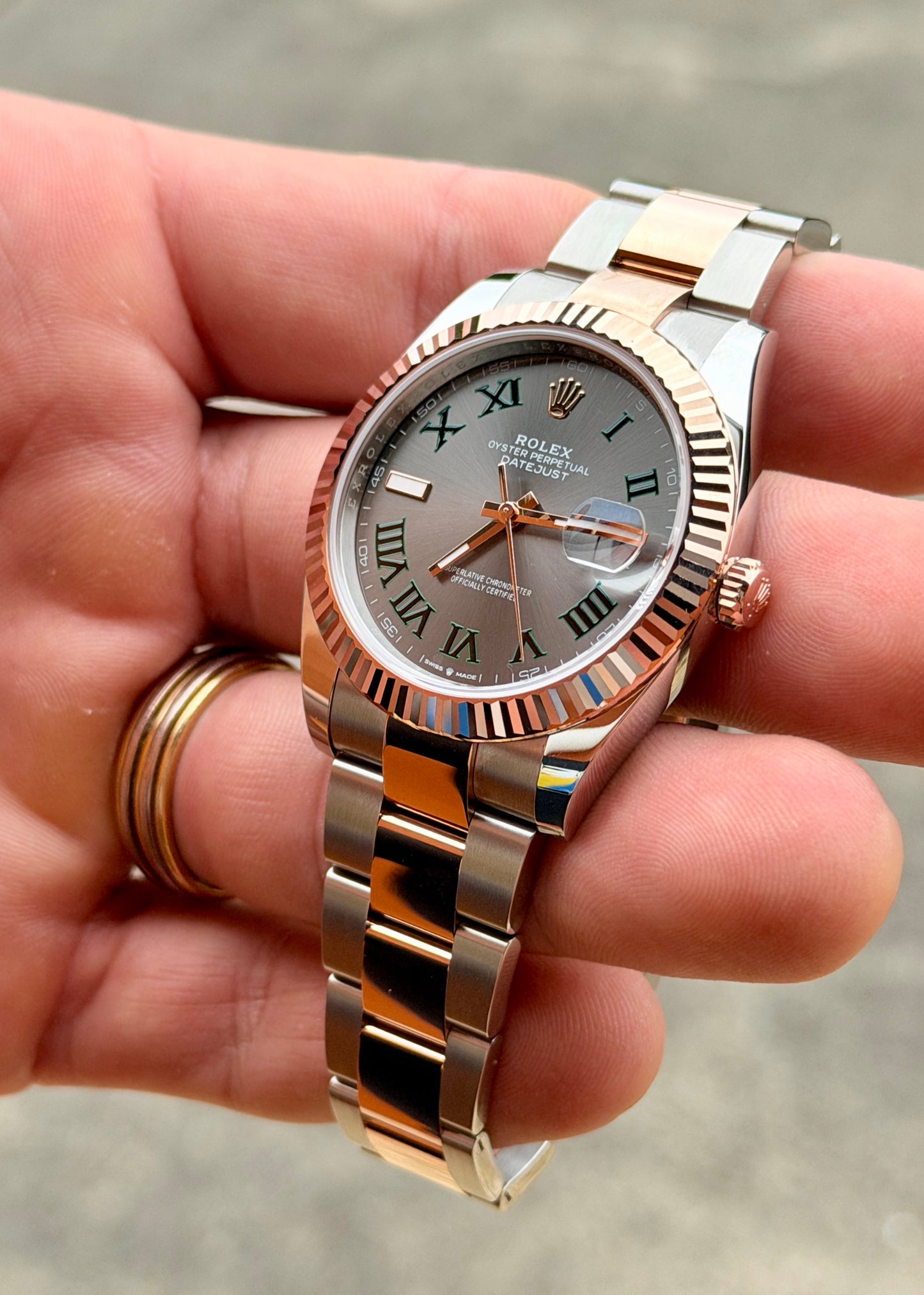 2026 Rolex DJ41 | 126331 Wimbledon | Full Set | 18k Rose Gold