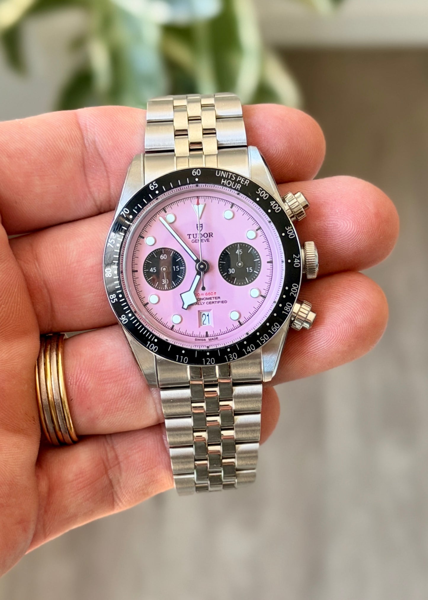 2024 LNIB Tudor Flamingo Chrono - Full Set + Protective Stickers