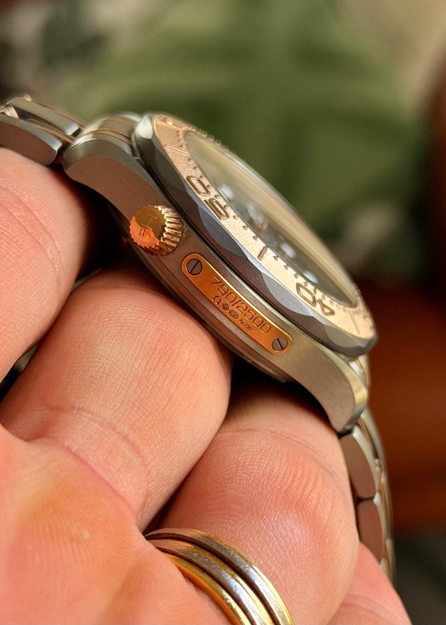 2022 Omega Seamaster Tantalum Sedna Gold | Full Set | Limited edition