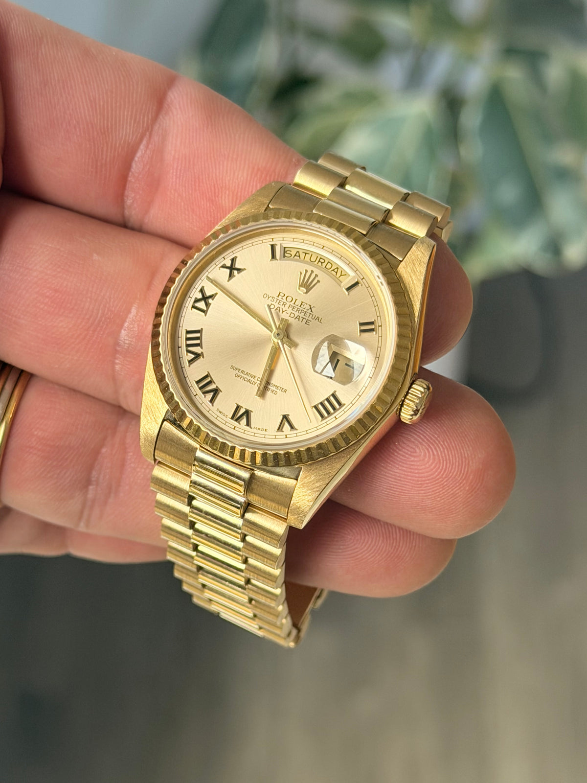 1984 Rolex Day-Date 36 | 18038 | Champagne Roman Dial