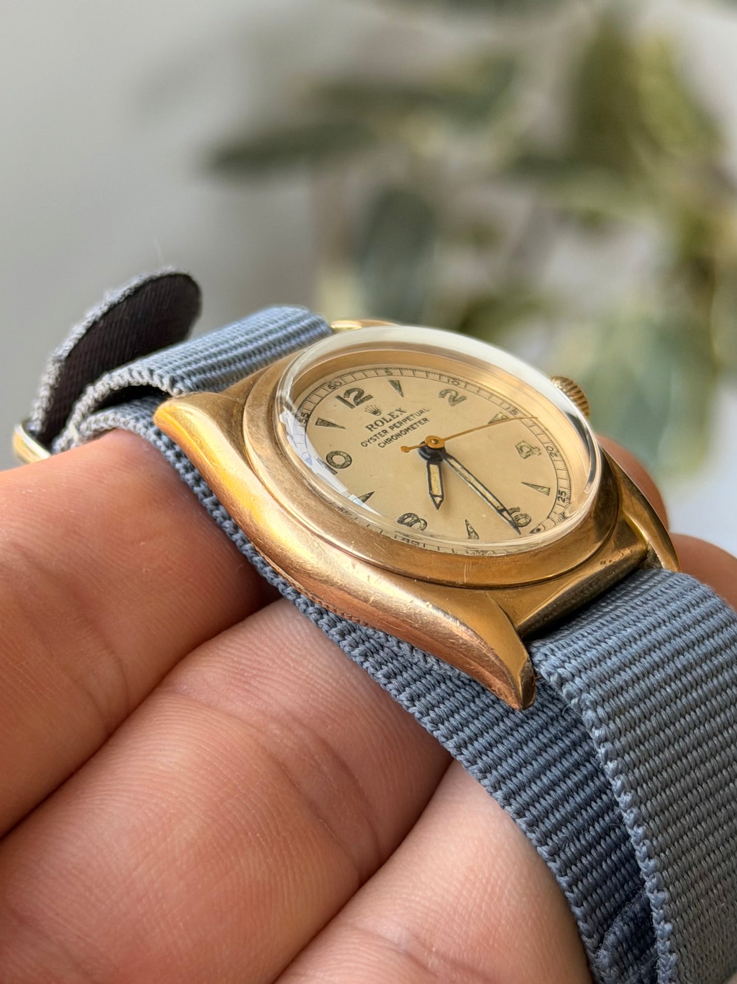Rolex “Bubbleback” 3131 Arabic Dagger Dial | 14K Gold