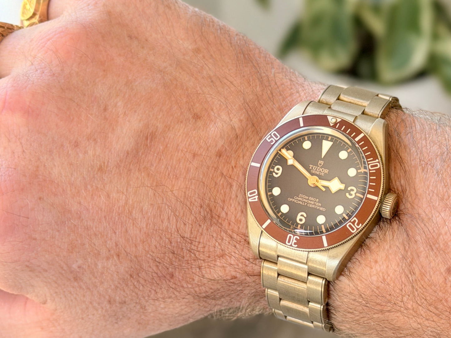 2023 Tudor BB58 Bronze 79019M Full Set