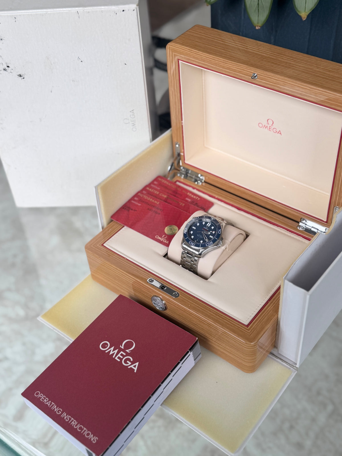 Omega Seamaster Diver 300M | Blue